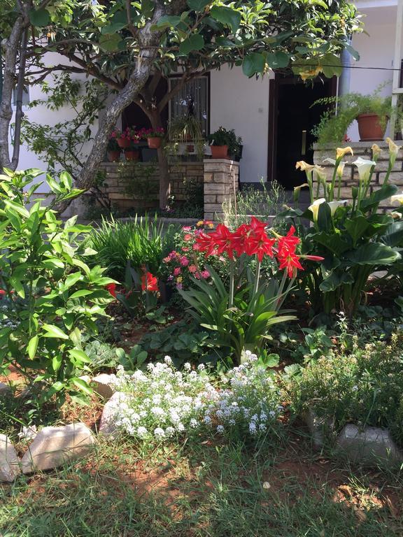 Apartment Olives ซาดาร์ ห้อง รูปภาพ